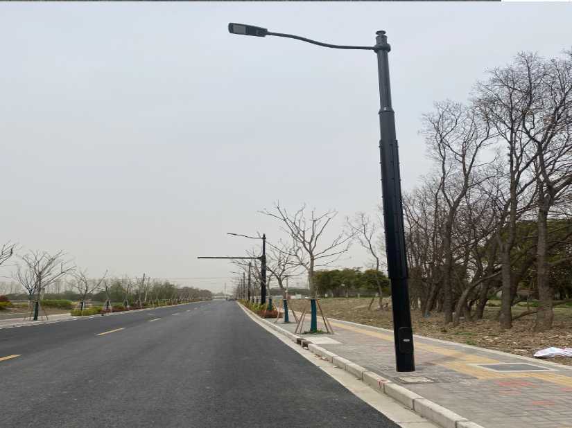 武宣县上海综合杆 太阳能路灯工程
